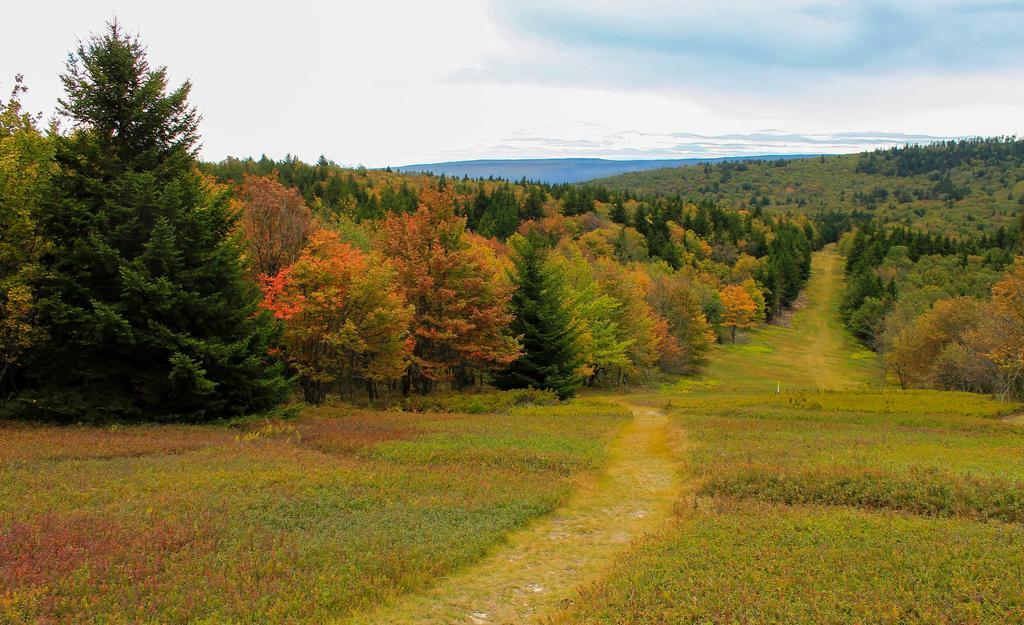 Canaan Valley Resort State Park Davis Exterior foto